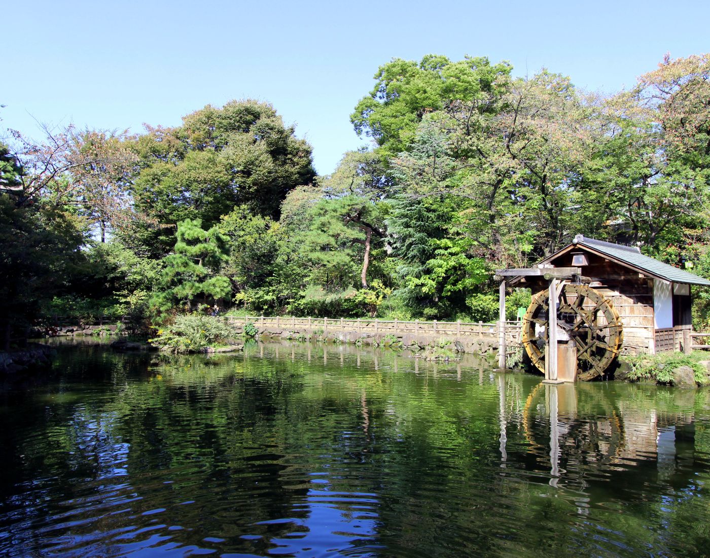 Nabeshima Shoto Park is attractive every season! It is a 10-minute walk from Shibuya Station