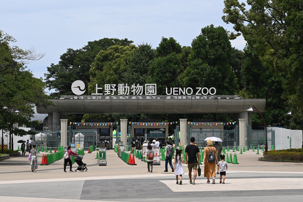 The Japanese teach the history and highlights of the Ueno Zoo