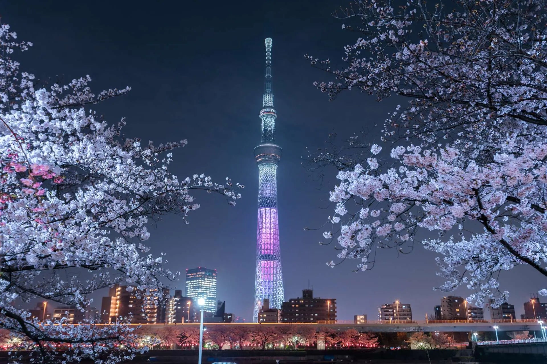 Tokyo Sky Tree Travel Guide: Admission Fees, Hours of Operation, and Access