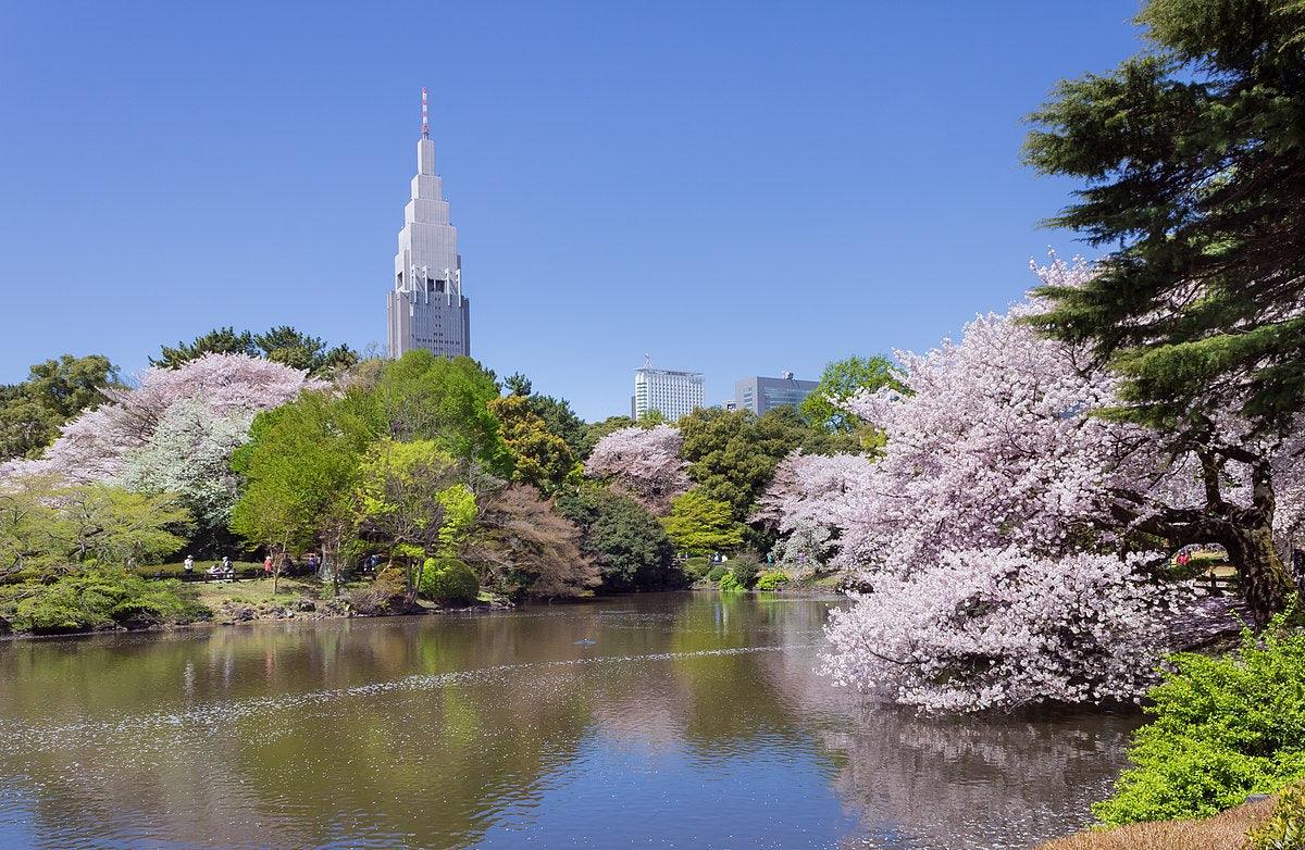 Shinjuku gyoen national garden perfect guide