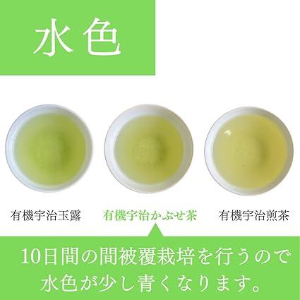 Tea Sunshine Garden Organic Cultivation Kyoto Uji Kabusecha Kyoto Prefecture 50g - NihonMura