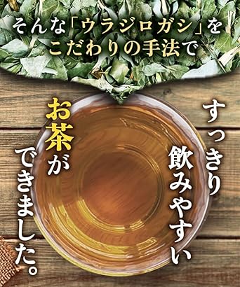 Onkatsu Farm Domestic Uladiro Oak Tea 3g ×30 Packets Tea Bag Urajirogashi