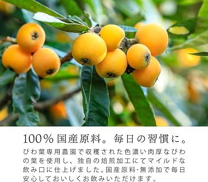 Tea Tsumi no Sato Domestic Biwa Tea Tea Bag 3g × 50 Packets Non-Caffeine Health Tea Loquat Leaf Tea - NihonMura