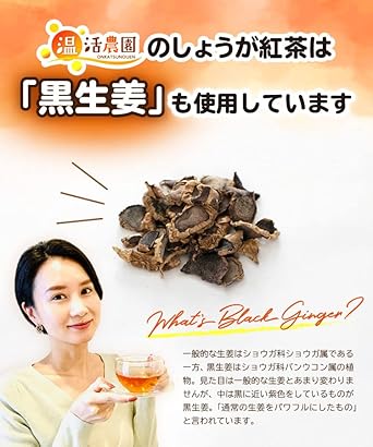 Onkatsu Farm Ginger Black Tea 2g ×25 Packets Tea Bag Summer Cooling Measures