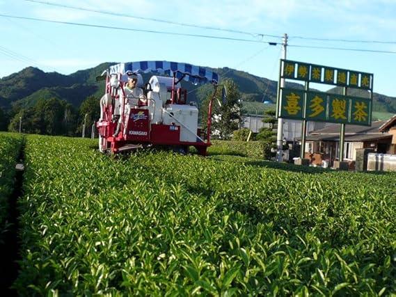 Kita Seicha Isecha Special Genmaicha [Tokujo Kabusecha × Brown Rice] Blended Tea Tea Leaves 200g Brown Rice Japan Tea Green Tea Sencha Delicious Genmaicha - NihonMura