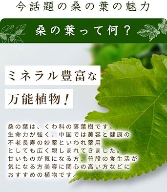 Onkatsu Farm Domestic Mulberry Leaf Tea 3g ×30 Packets Pesticide Residue Tested Tea Bag Non-Caffeine