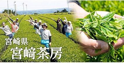 Miyazaki Chabo Peasant Bancha (Kama-Roasted Tea) Pesticide-free cultivation 800g - NihonMura