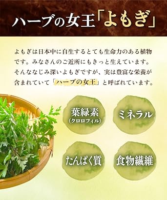 Onkatsu Farm Domestic Wormwood Tea Tea Bag 3g×30 Packets Tested for Pesticide Residues Caffeine-Free Pregnant Woman Tea