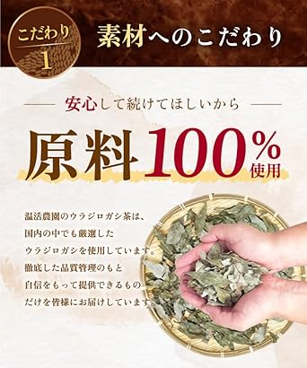 Onkatsu Farm Domestic Uladiro Oak Tea 3g ×30 Packets Tea Bag Urajirogashi