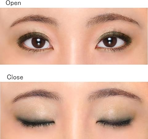 Chifure Twin Color Eyeshadow 09 Black