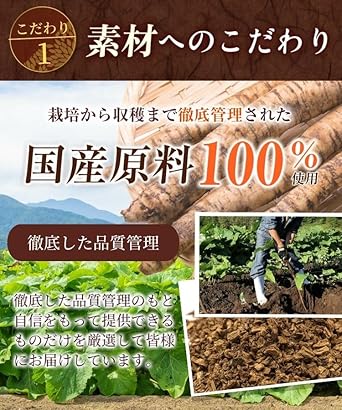 Onkatsu Farm Domestic Burdock Tea 2g ×40 Packets Tea Bag Pesticide Residue Tested Non-Caffeine