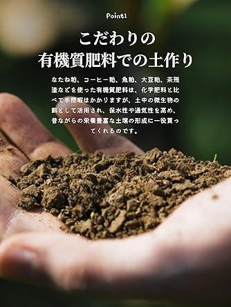 Mizutama Farm Tea grown without using pesticides or chemical fertilizers Green tea Tea leaves 100g (cold brew Japan tea tea pack Shizuoka tea Non Tea leaves) - NihonMura