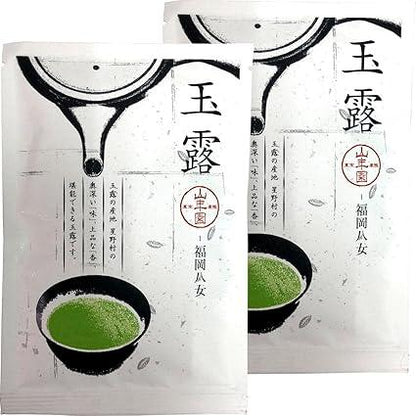 Gyokuro Yame Gyokuro Japan Tea Tea Tea Leaves Yame Gyokuro 50g × 2 bags set Sugamo tea shop Yamanenen - NihonMura