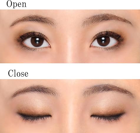 Chifure Gradient Eyeshadow 73 Brown