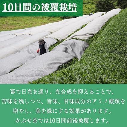 Tea Sunshine Garden Organic Cultivation Kyoto Uji Kabusecha Kyoto Prefecture 50g - NihonMura