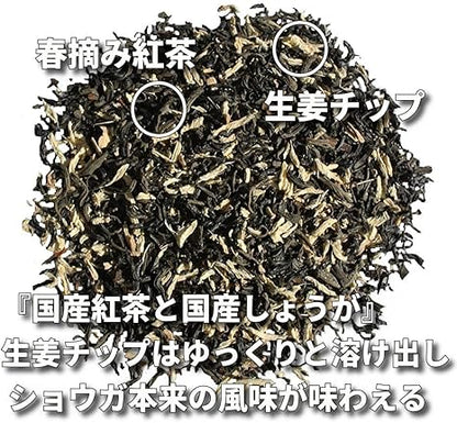 Bando Black Tea Ginger Black Tea Strong Taste 60 Tea Bags Made in Japan 100%