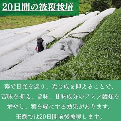 Tea Sunshine Garden Organic Cultivation Kyoto Uji Gyokuro Kyoto Prefecture 50g - NihonMura