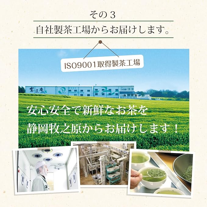 Inabaen Deep Steamed Tea Shizuoka Advanced Tea Kakegawa Tea 100g 2 Bags Set