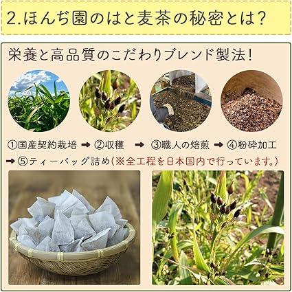 Honjien tea Health Tea Domestic Hatomugi Tea Tea Bag Large Capacity 6g×50 Packets - NihonMura