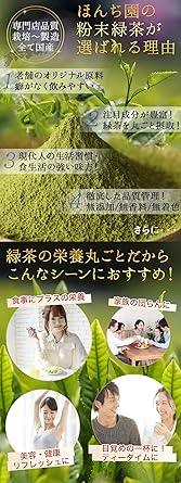 Honjien tea Japan Tea Kagoshima Powdered Green Tea 100g Powder Sencha - NihonMura