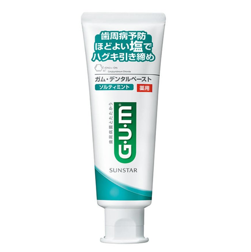 gum dental paste salty mint 150g x 2 - NihonMura