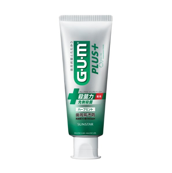 gum plus dental paste herb mint 120g x 2 pieces - NihonMura
