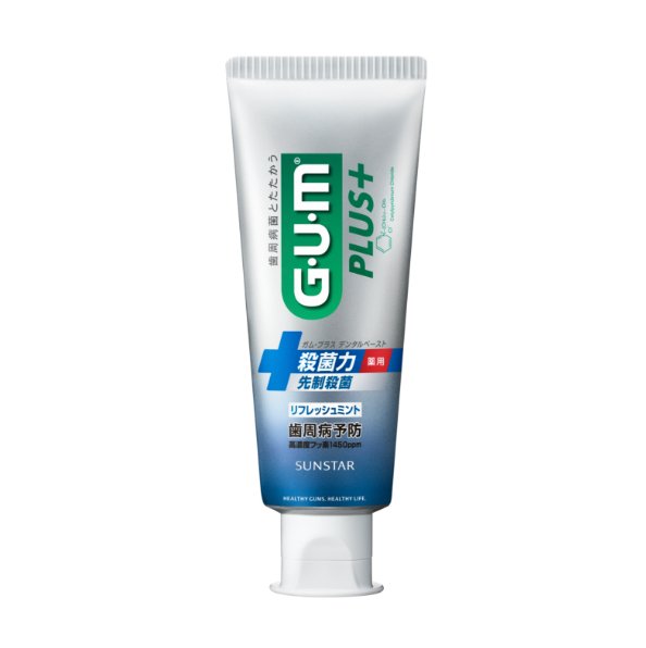 Gum Plus Dental Paste Refresh Mint 120g x 2 pieces - NihonMura