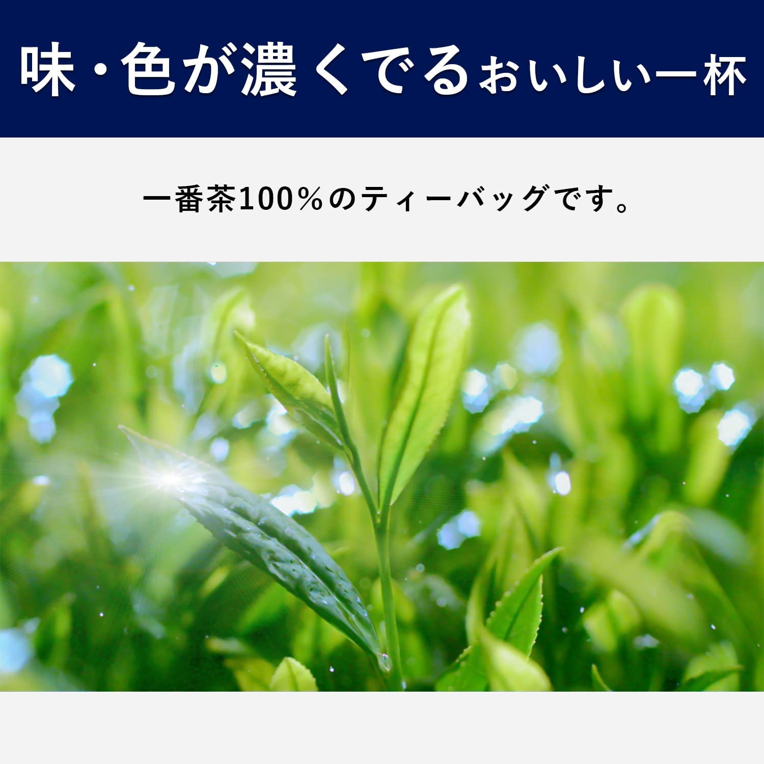 Ito En Premium Tea Bags Ichiban Picked Green Tea 2.2g x 20 Teabags [Foods with Function Claims] - NihonMura