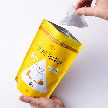Triangular Tea Bag Mugicha Barley Tea 18 Bags by Ippodo - NihonMura