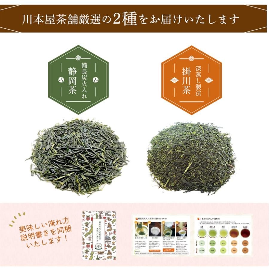 Two premium Japanese teas: Shizuoka tea and Kakegawa tea - NihonMura
